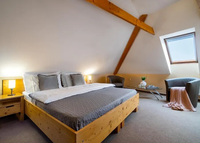 U Vlasskeho Dvora Hotell