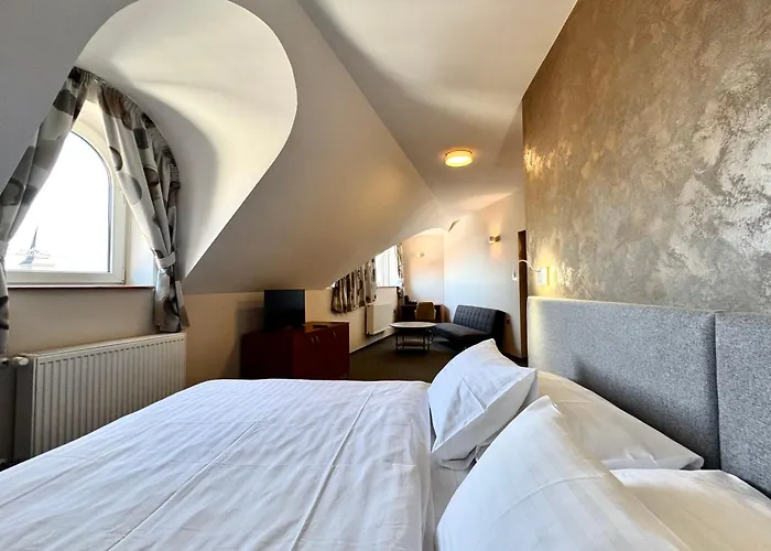 U Vlašského Dvora Hotel 3*