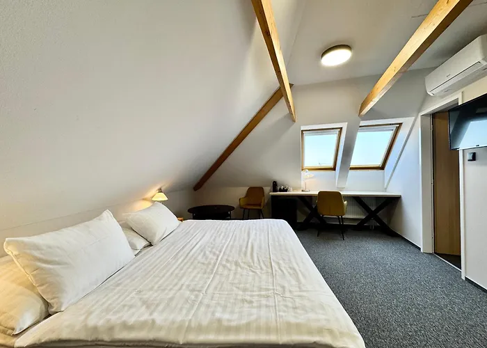 U Vlašského Dvora 3*
